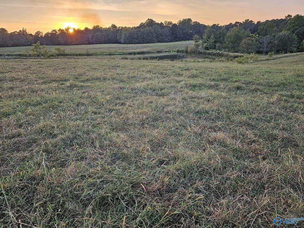 17.98 ACRES LITTLE EGYPT ROAD, TUSCUMBIA, AL 35674, photo 1 of 10