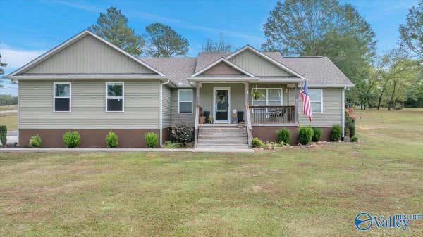 60 COUNTY ROAD 46, HOLLYWOOD, AL 35752 - Image 1