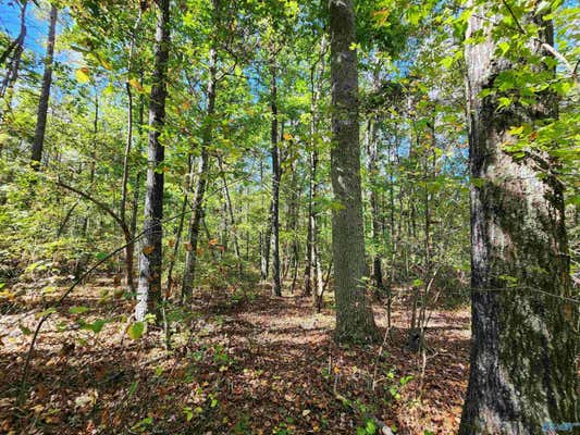 LOT 17 HUNTERS RIDGE PHASE III, MENTONE, AL 35984 - Image 1