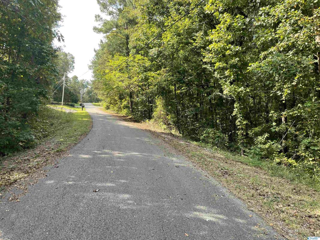 0.53 +/- ACRES MOUNTAIN TOP ROAD, SOUTHSIDE, AL 35907, photo 1 of 2