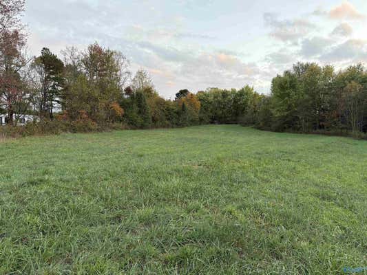 7.81 COUNTY ROAD 788, IDER, AL 35981 - Image 1