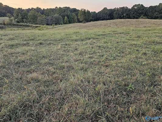 17.98 ACRES LITTLE EGYPT ROAD, TUSCUMBIA, AL 35674, photo 4 of 10