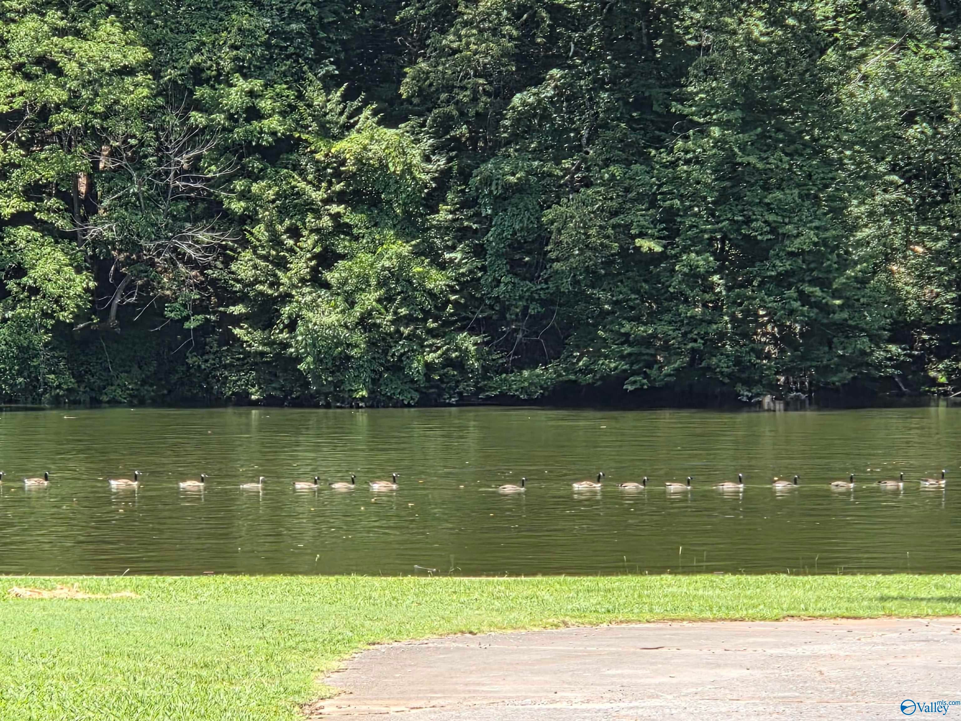 Rogersville, Alabama, 35652, United States, 6 Bedrooms Bedrooms, ,8 BathroomsBathrooms,Residential,Active,1996276