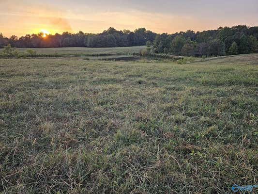 17.98 ACRES LITTLE EGYPT ROAD, TUSCUMBIA, AL 35674, photo 5 of 10