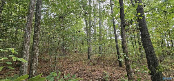 7.82 +/- ACRES N ALABAMA HIGHWAY 79, SCOTTSBORO, AL 35768, photo 3 of 45