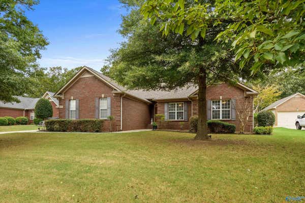 127 CASTLEHILL DR, MERIDIANVILLE, AL 35759 - Image 1