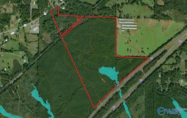 110 ACRES HIGHWAY 11, ASHVILLE, AL 35953 - Image 1