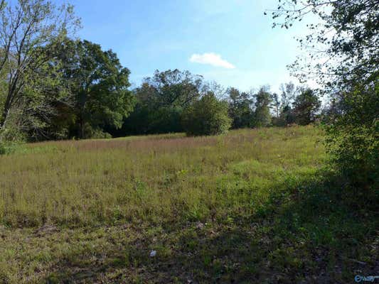 N SIDE OF LOT 2 2ND AVENUE SW, ARAB, AL 35016 - Image 1