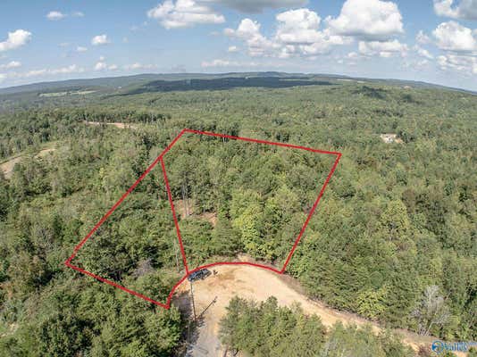 8.1 ACRES PINE TRAIL, ALTOONA, AL 35952 - Image 1