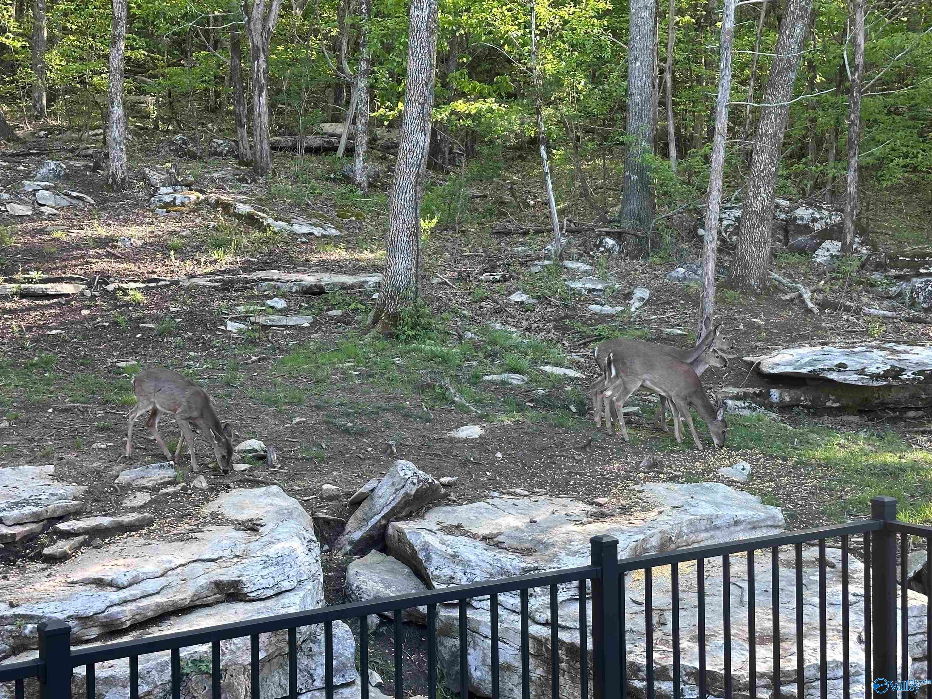 Huntsville, Alabama, 35803, United States, 4 Bedrooms Bedrooms, ,4 BathroomsBathrooms,Residential,Active,1996296