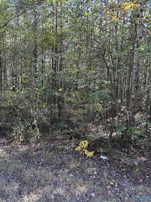 3.31 ACRES ALABAMA HIGHWAY 68 W, SAND ROCK, AL 35983 - Image 1