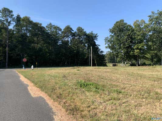 LOT 1 CREEKSTONE POINT DRIVE, FORT PAYNE, AL 35967 - Image 1