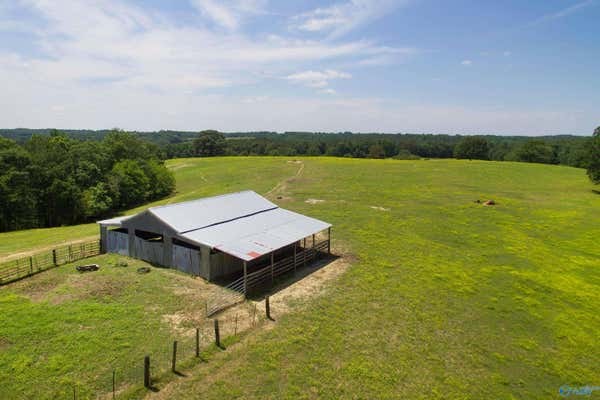 120.5 ACRES COUNTY ROAD 974, LOGAN, AL 35098 - Image 1