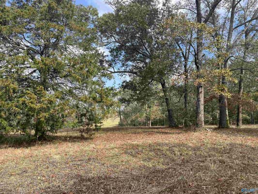 6.78 ACRES MATT MORROW ROAD, ARAB, AL 35016 - Image 1