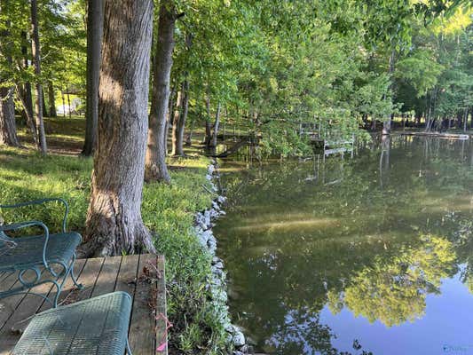 LOT 9 & 10 COUNTY ROAD 609, CENTRE, AL 35960, photo 5 of 50