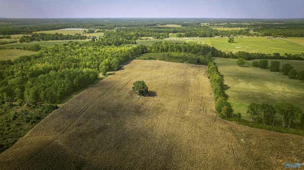 128ACRES COUNTY ROAD 89, ROGERSVILLE, AL 35652, photo 4 of 10