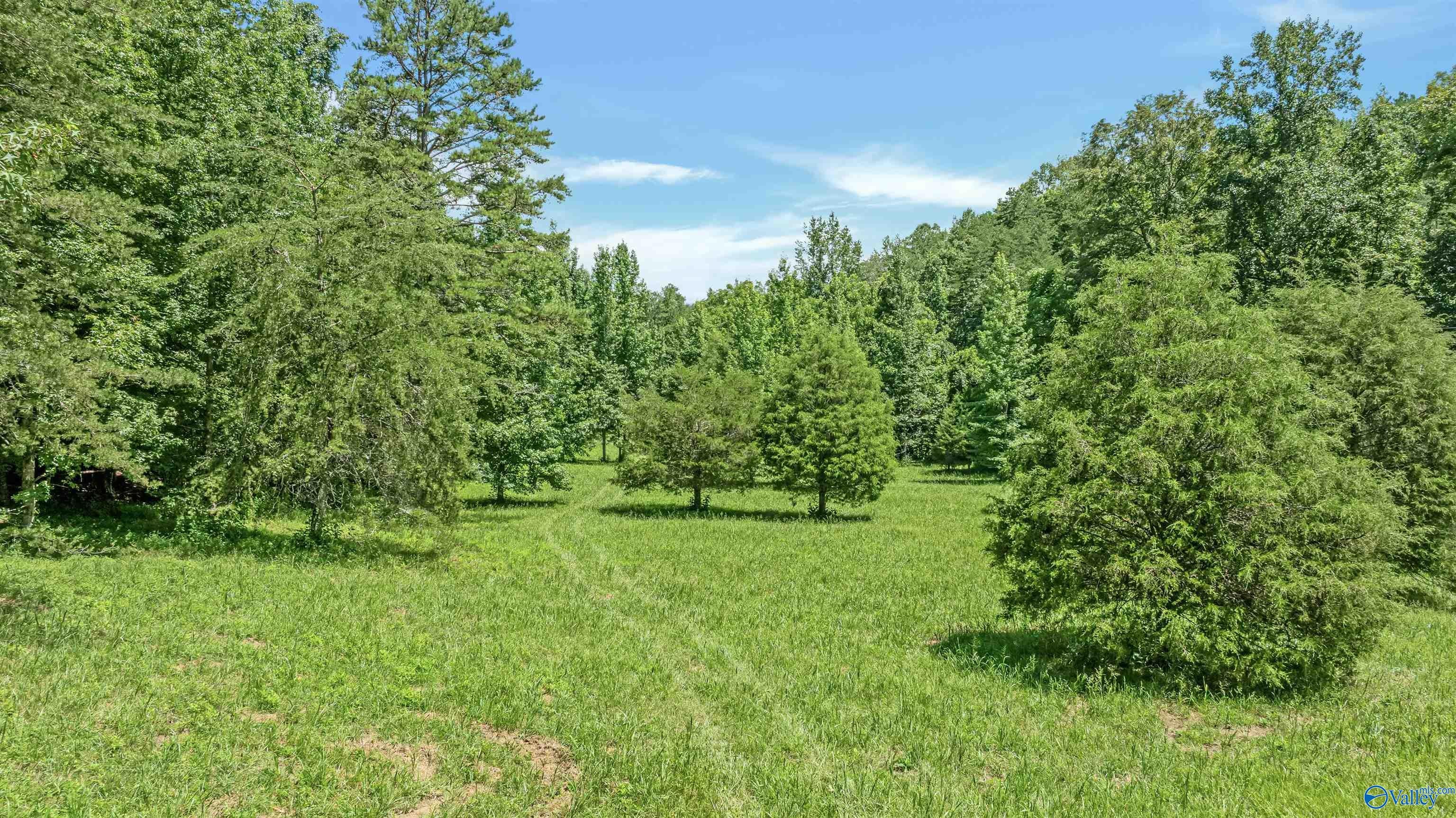 Trenton, Georgia, 30752, United States, 4 Bedrooms Bedrooms, ,4 BathroomsBathrooms,Residential,Active,1963412