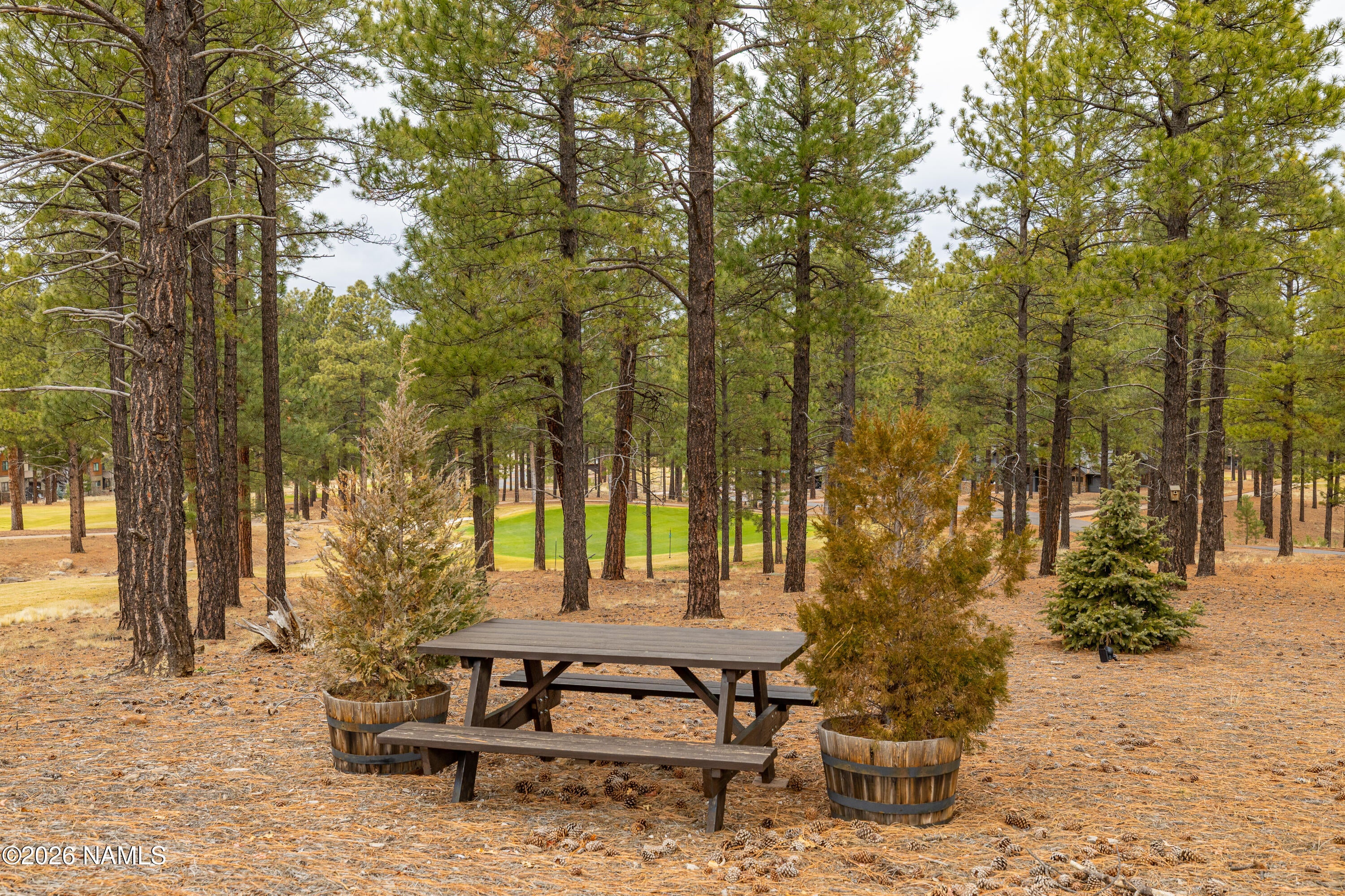 Flagstaff, Arizona, 86005, United States, 3 Bedrooms Bedrooms, ,3 BathroomsBathrooms,Residential,Active,2009866