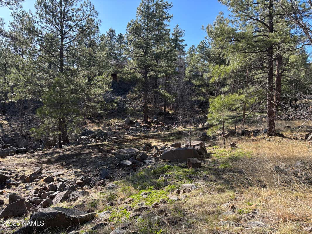 17486 S MESCALERO DR