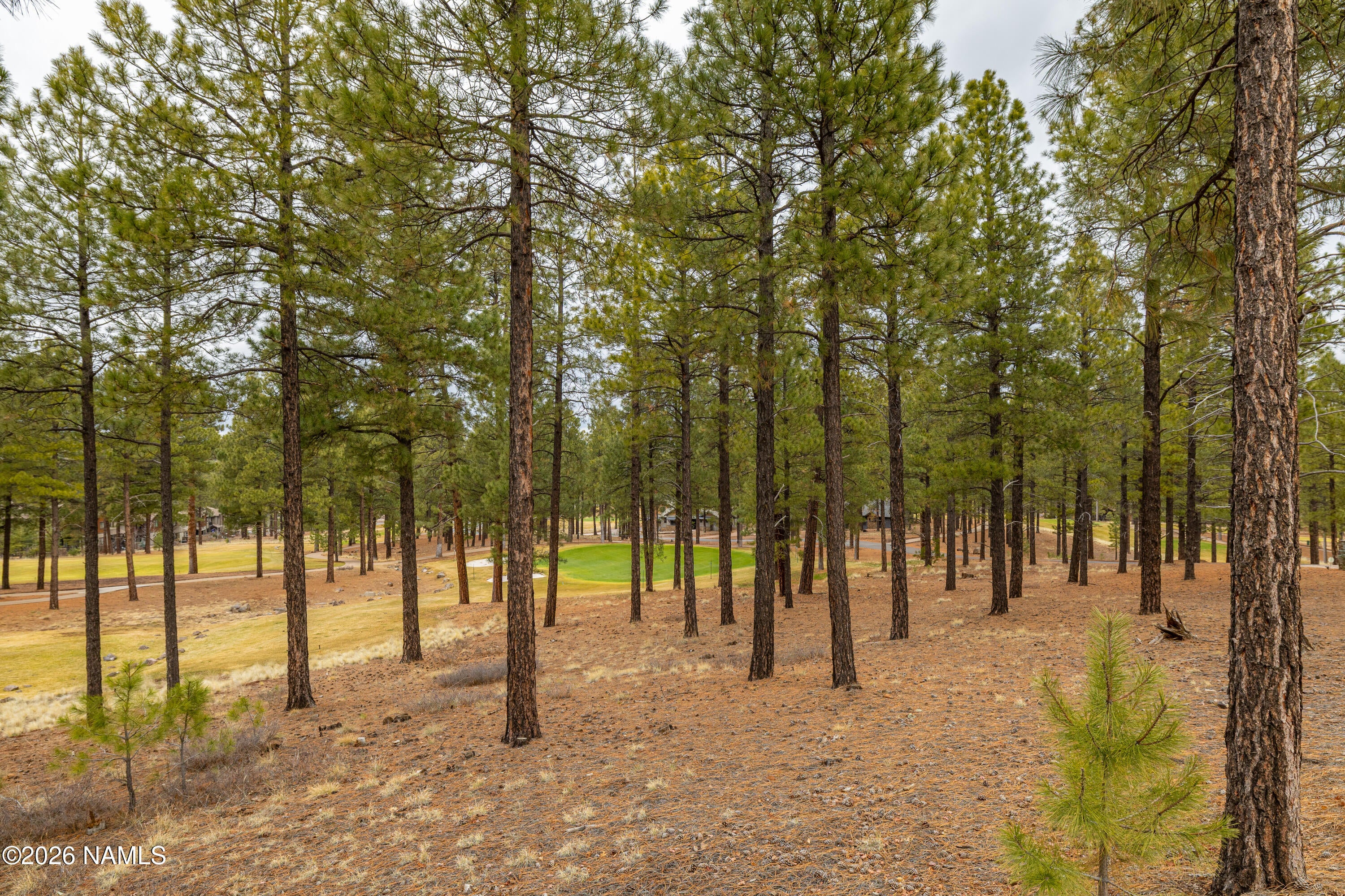 Flagstaff, Arizona, 86005, United States, 3 Bedrooms Bedrooms, ,3 BathroomsBathrooms,Residential,Active,2009866