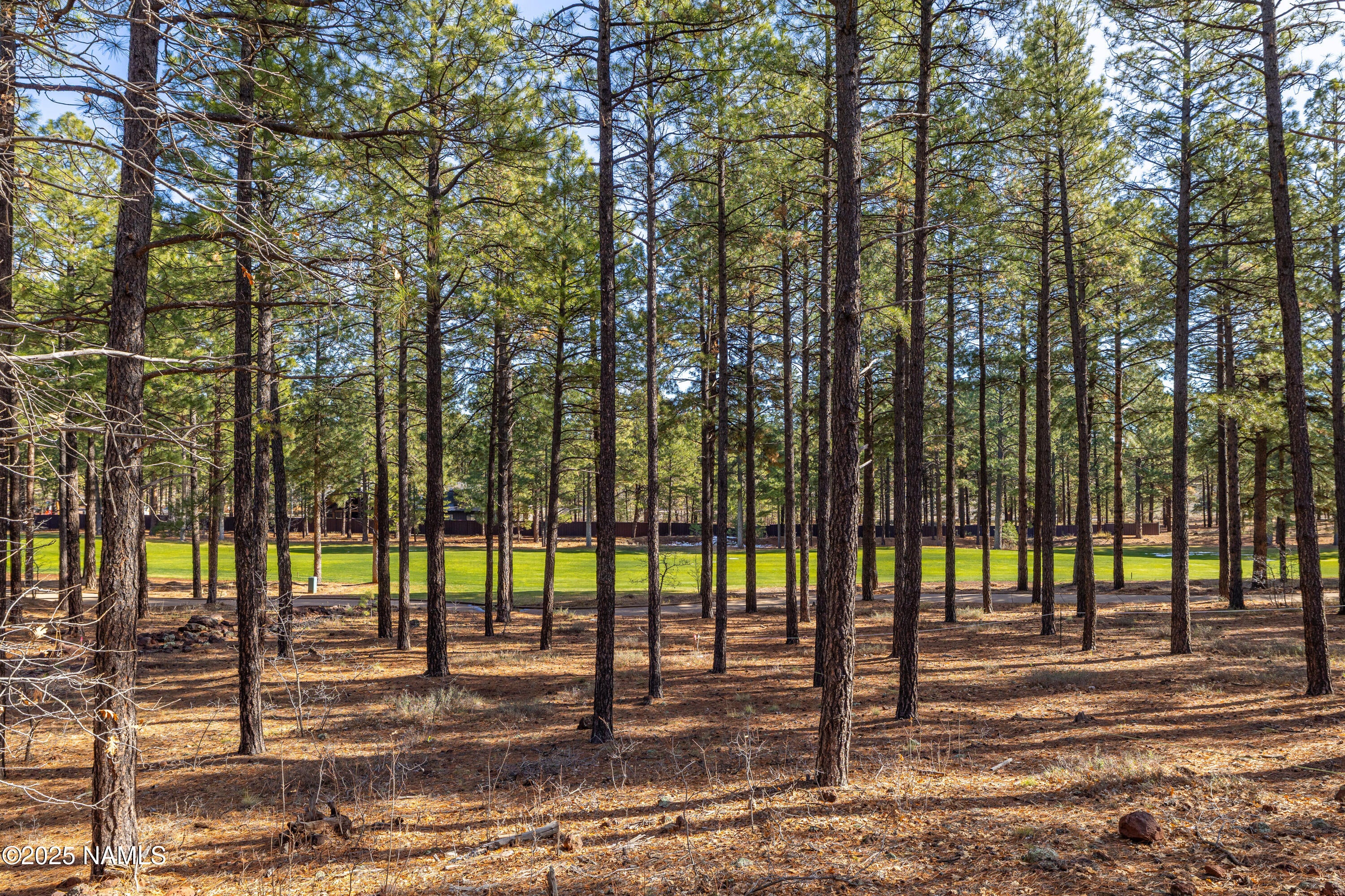 Flagstaff, Arizona, 86005, United States, 4 Bedrooms Bedrooms, ,4 BathroomsBathrooms,Residential,Active,1922481