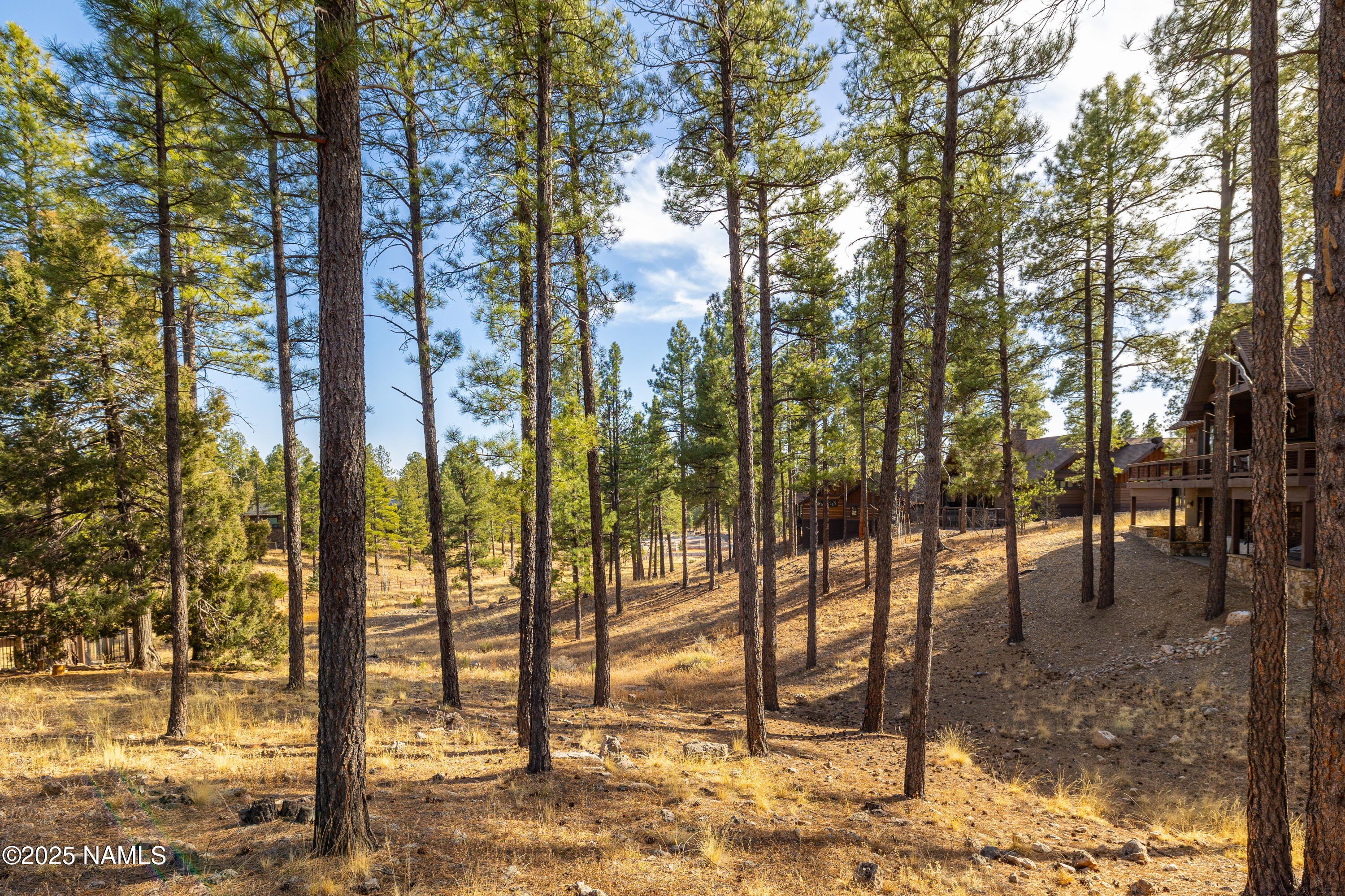 2649 S Bluebird Ct, Flagstaff, AZ, 86005, USA, 4 Bedrooms Bedrooms, ,5 BathroomsBathrooms,Residential,Active,2649 S Bluebird Ct,203052