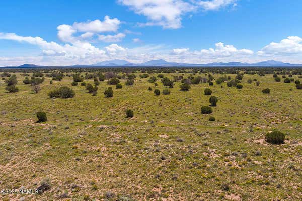 4441 INDIAN MEADOWS RD, WILLIAMS, AZ 86046 | REMAX