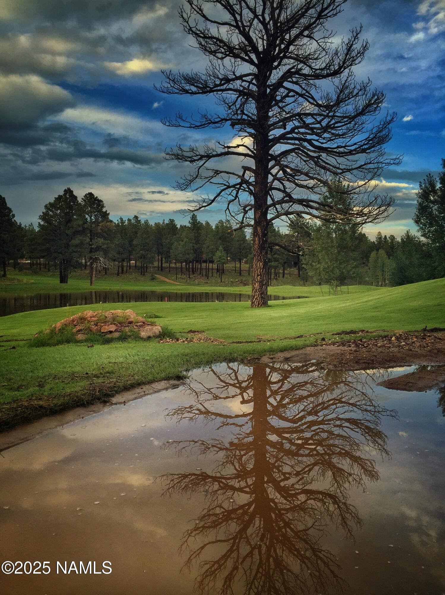 Flagstaff, Arizona, 86005, United States, 4 Bedrooms Bedrooms, ,5 BathroomsBathrooms,Residential,Active,1756457