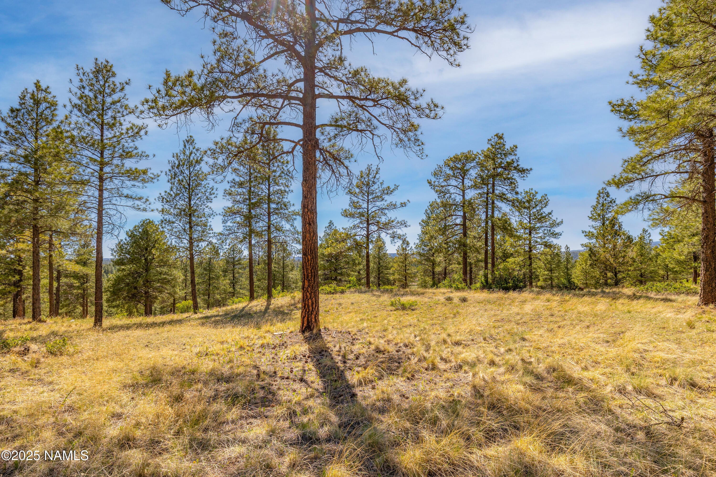 Flagstaff, Arizona, 86004, United States, 4 Bedrooms Bedrooms, ,6 BathroomsBathrooms,Residential,Active,1756325