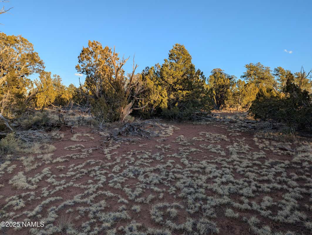 5690 N CUBBY BEAR Way Unit 126  