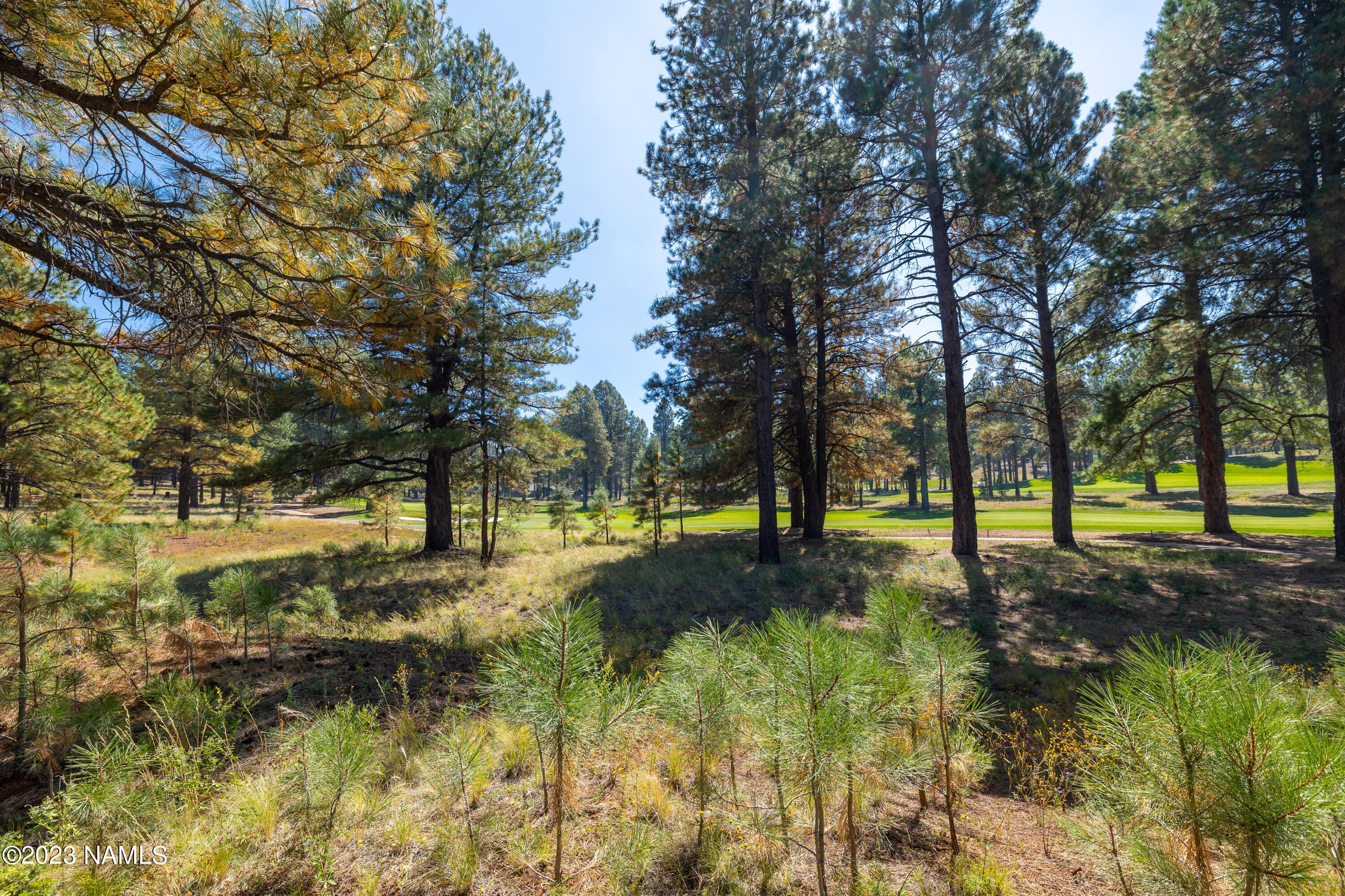 Flagstaff, Arizona, 86005, United States, 4 Bedrooms Bedrooms, ,3 BathroomsBathrooms,Residential,Active,2013664