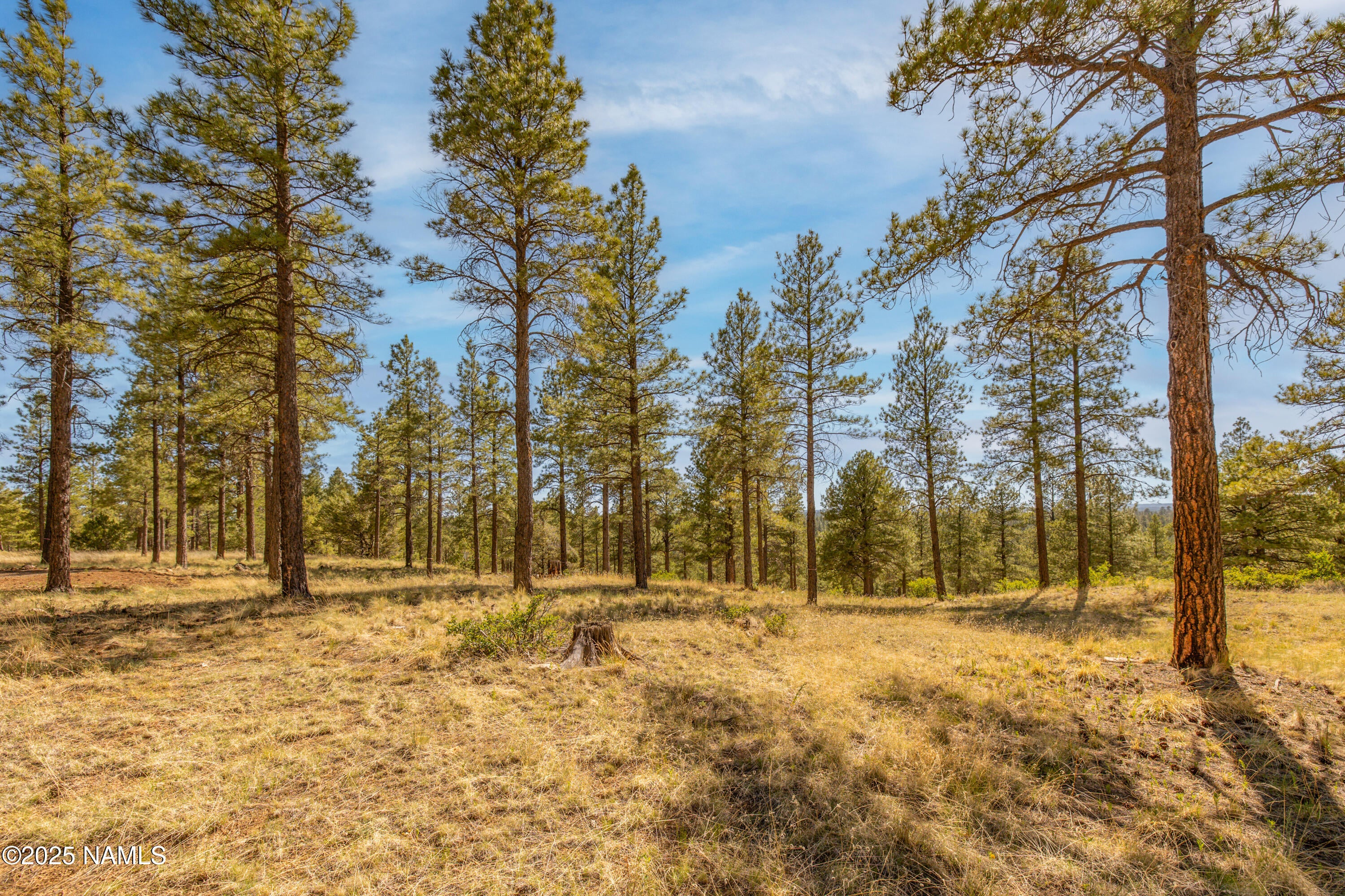 Flagstaff, Arizona, 86004, United States, 4 Bedrooms Bedrooms, ,6 BathroomsBathrooms,Residential,Active,1756325