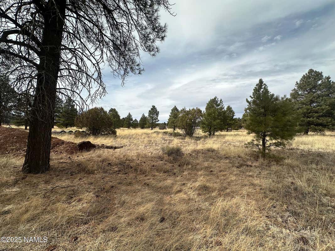 3480 E MOUNTAIN MAN TRL  