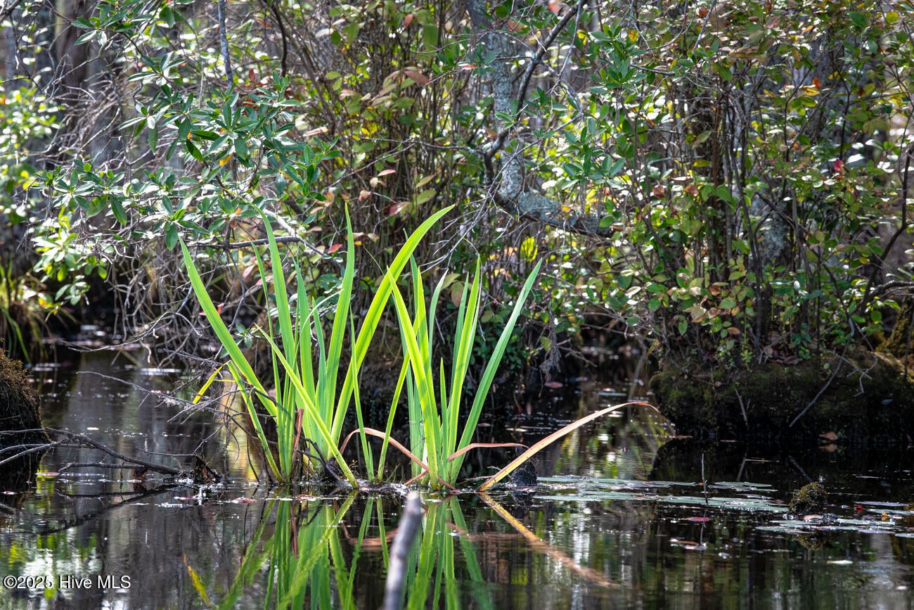 Rockingham, North Carolina, 28379, United States, 2 Bedrooms Bedrooms, ,3 BathroomsBathrooms,Residential,Active,1963276