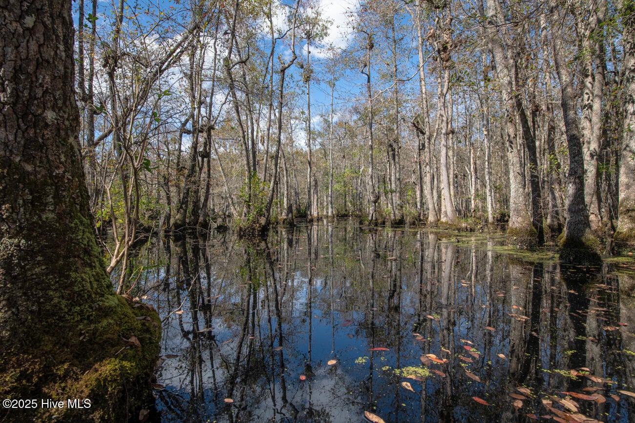 Rockingham, North Carolina, 28379, United States, 2 Bedrooms Bedrooms, ,3 BathroomsBathrooms,Residential,Active,1963276