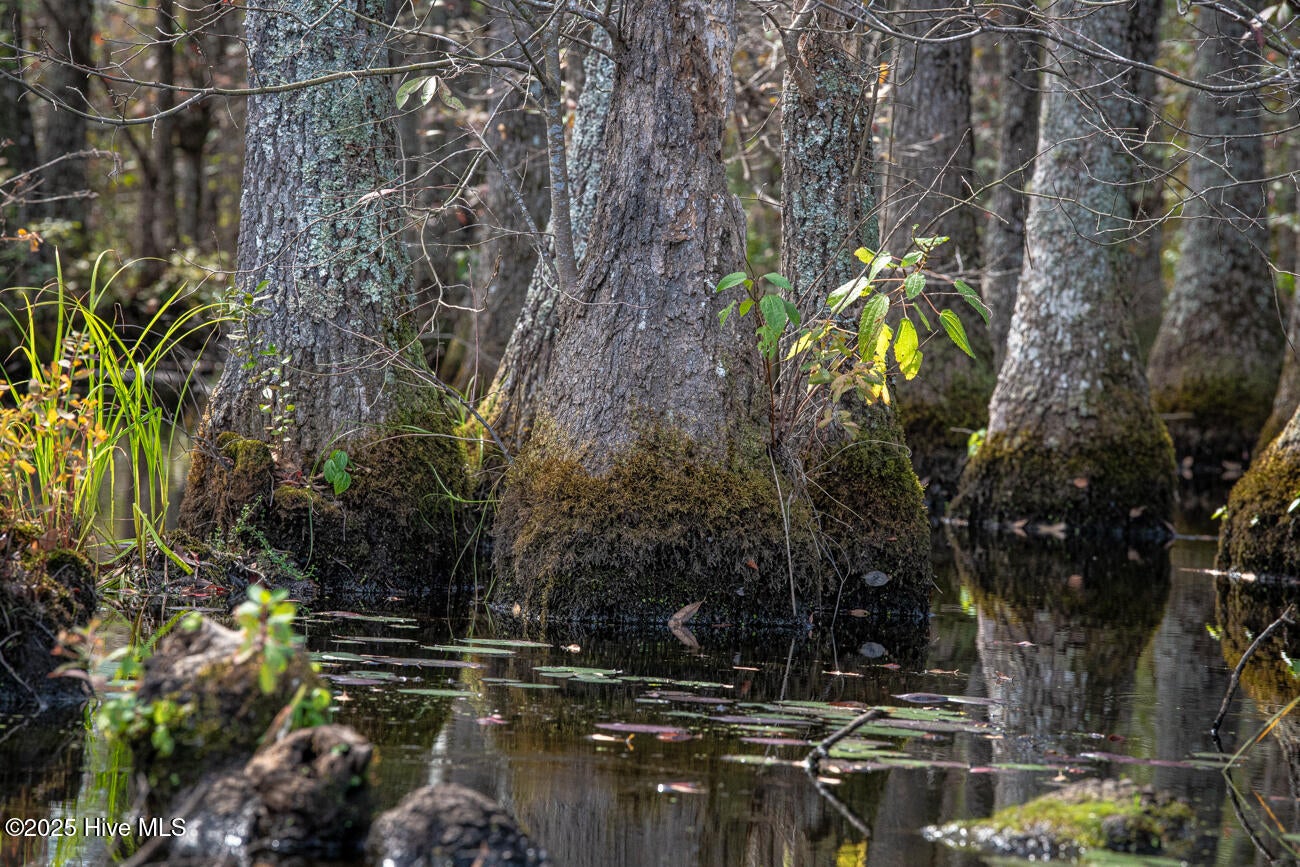 Rockingham, North Carolina, 28379, United States, 2 Bedrooms Bedrooms, ,3 BathroomsBathrooms,Residential,Active,1963276