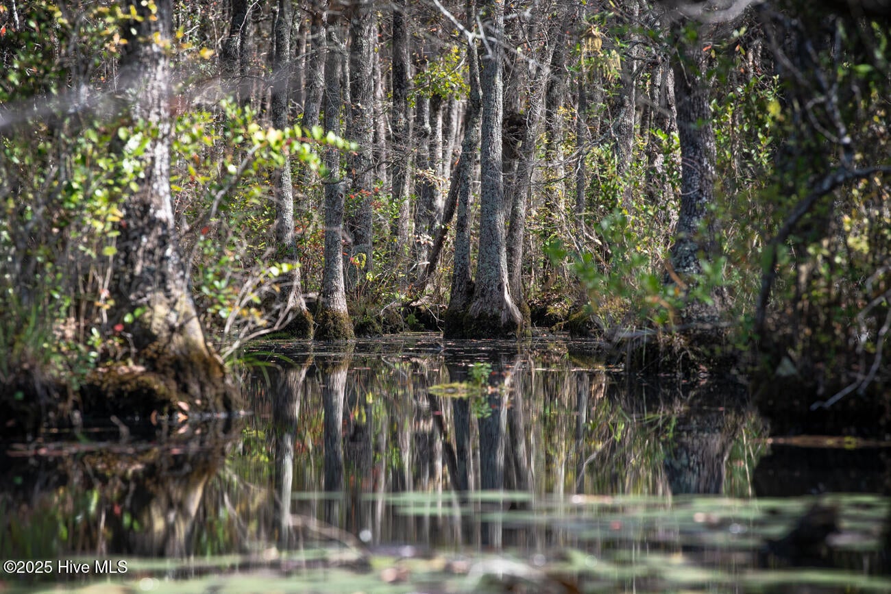 Rockingham, North Carolina, 28379, United States, 2 Bedrooms Bedrooms, ,3 BathroomsBathrooms,Residential,Active,1963276