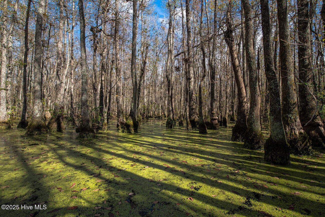 Rockingham, North Carolina, 28379, United States, 2 Bedrooms Bedrooms, ,3 BathroomsBathrooms,Residential,Active,1963276