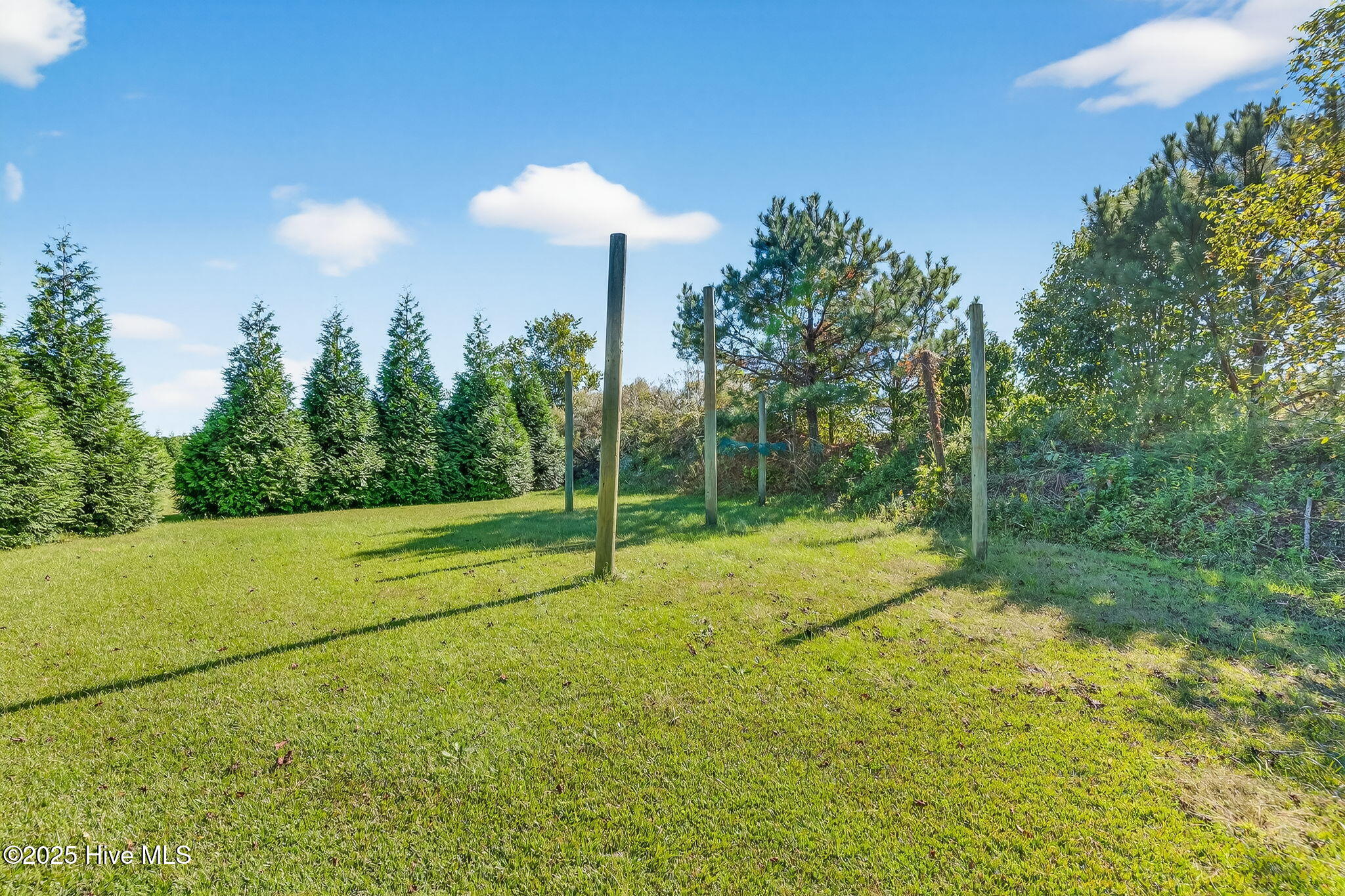 Benson, North Carolina, 27504, United States, 3 Bedrooms Bedrooms, ,3 BathroomsBathrooms,Residential,Active,2043414