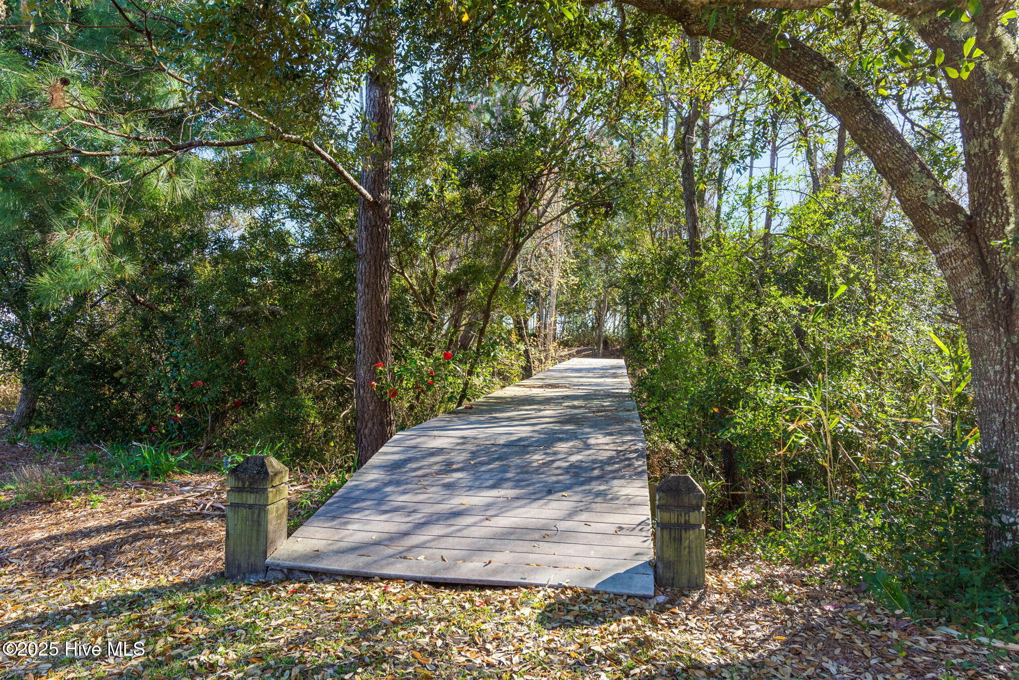 Newport, North Carolina, 28570, United States, 6 Bedrooms Bedrooms, ,7 BathroomsBathrooms,Residential,Active,2003565