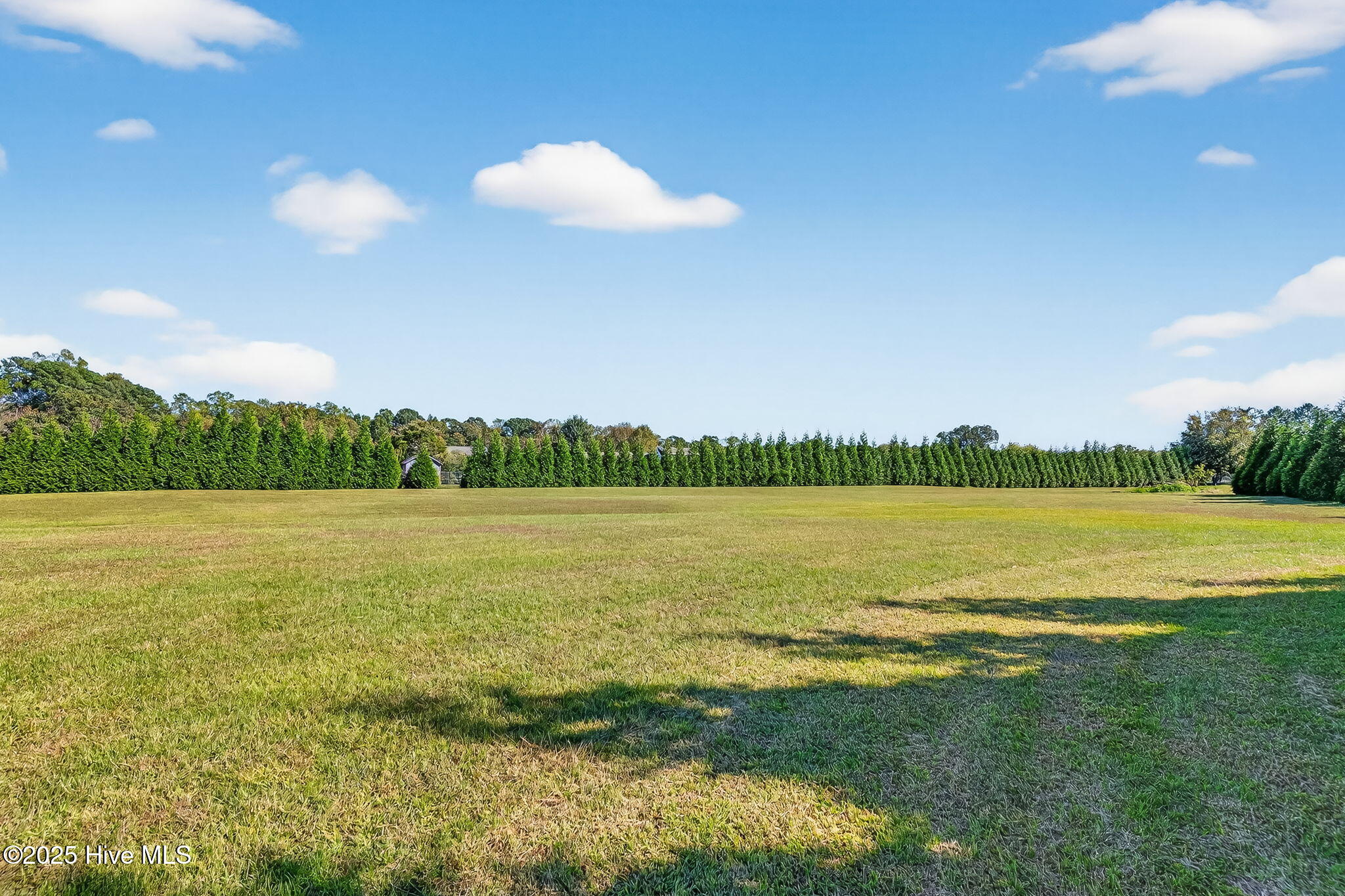 Benson, North Carolina, 27504, United States, 3 Bedrooms Bedrooms, ,3 BathroomsBathrooms,Residential,Active,1972180