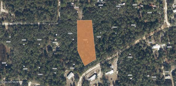 117 OLEANDER ST, POMONA PARK, FL 32181 - Image 1