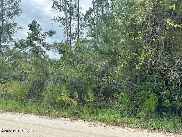 209 SEMINOLE TRL, GEORGETOWN, FL 32139, photo 1 of 6