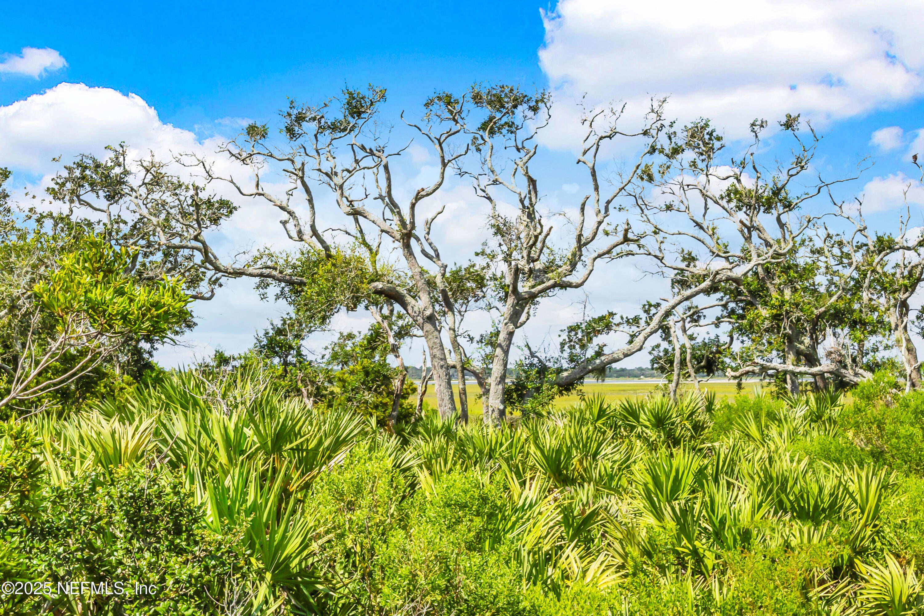 St. Augustine, Florida, 32084, United States, 5 Bedrooms Bedrooms, ,4 BathroomsBathrooms,Residential,Active,1988713