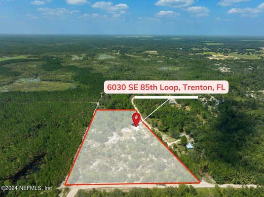 6030 SE 85TH LOOP, TRENTON, FL 32693 - Image 1