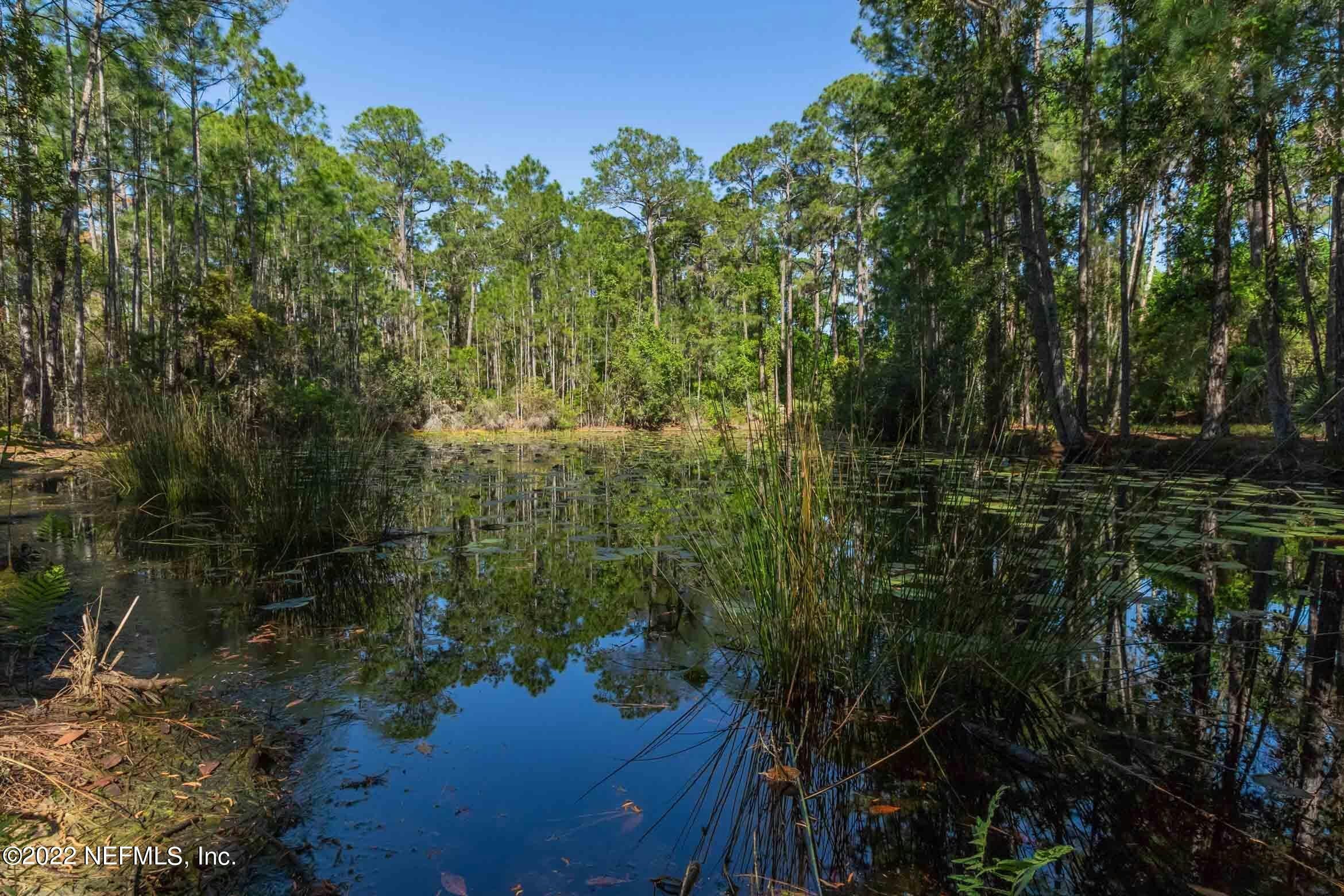 Georgetown, Florida, 32139, United States, ,6 BathroomsBathrooms,Residential,Pending,1769412