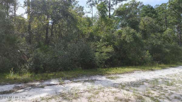 209 OCALA CT, GEORGETOWN, FL 32139 - Image 1