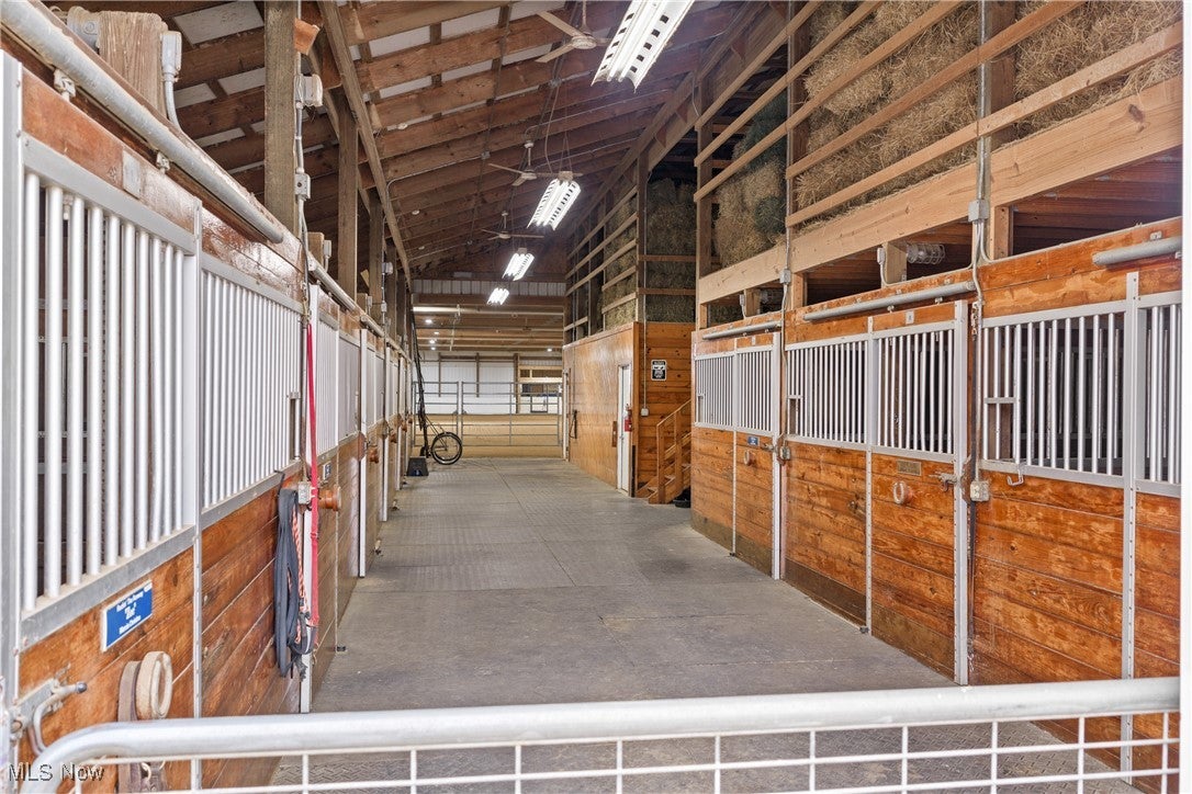 Canton, Ohio, 44721, United States, 1 Bedroom Bedrooms, ,1 BathroomBathrooms,Residential,Active,2015428