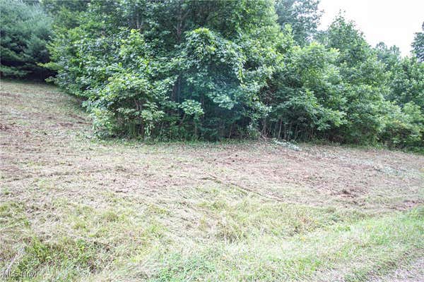 LOT 4 MEADOWOOD TRAIL, CADIZ, OH 43907 - Image 1