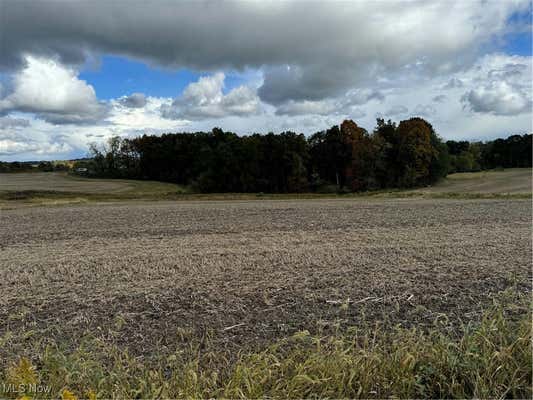 TOWNSHIP ROAD 336, MILLERSBURG, OH 44654 - Image 1